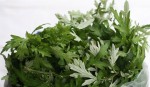 Bí quyết trị mụn thâm, dưỡng trắng da, vòng eo thon với loại rau quen thuộc này