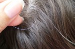 Cách chữa tóc bạc bằng vừng đen cực kì hiệu nghiệm