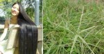 “Thần dược” chỉ gội 3 lần, tóc sẽ hết rụng, mọc dày và chắc khỏe, suôn mượt gấp 5 lần bình thường